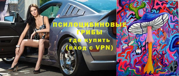 круглые Алзамай