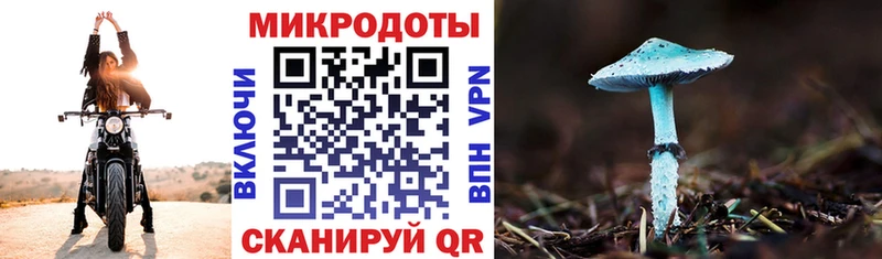 Галлюциногенные грибы Psilocybine cubensis  Феодосия 